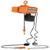 H-2000-1 Economy Chain Hoist with Chain Container