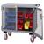 ST-244-6PY-LP 2-Sided Mobile Maintenance Cart with Louvered Panels