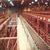 Total Distribution Center Conveyor, Flow Racks, Multi-Level Pick